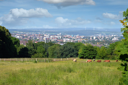 doenche_DSC_2938